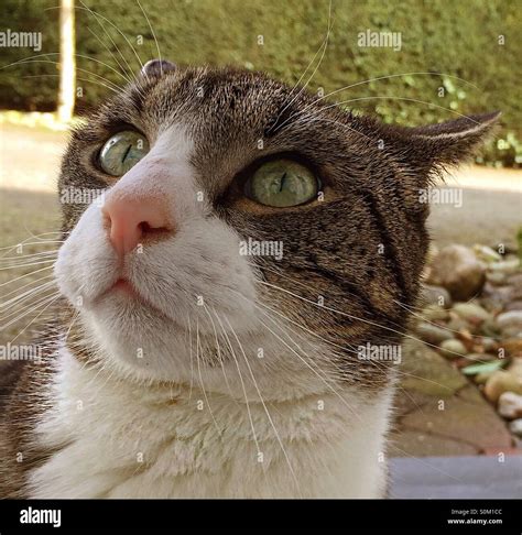 Look Astonished Hi Res Stock Photography And Images Alamy
