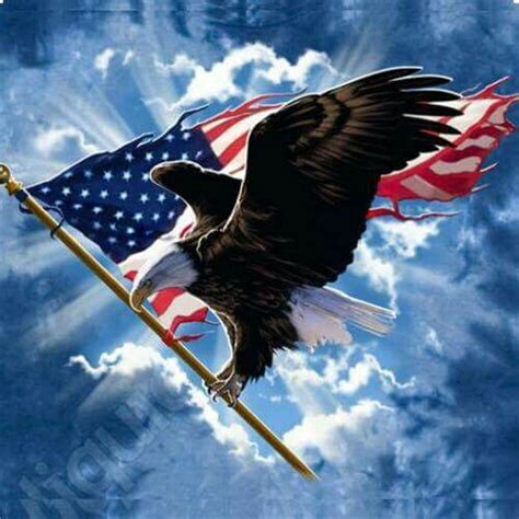 Pin By Anita Diann On America Flags Eagles And Angels Patriotic