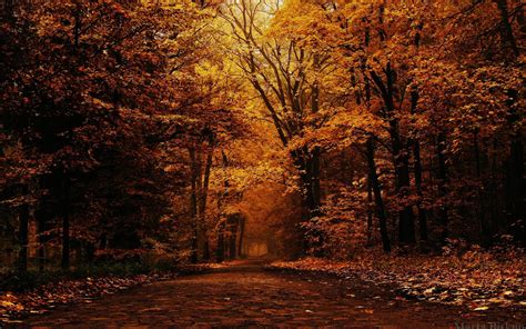 Autumn Wallpapers Free Wallpaper Cave
