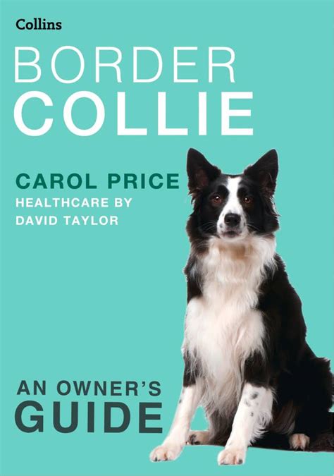 15 Best Books For Border Collie Lovers Petpress