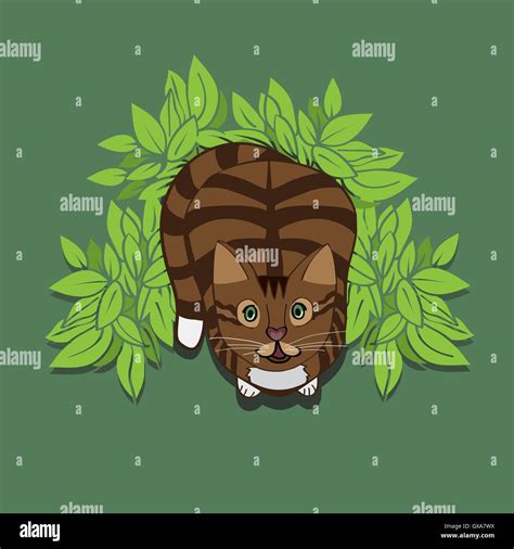 Brown Cat In A Green Bush Vector Illustration For Print T Shirt Cute