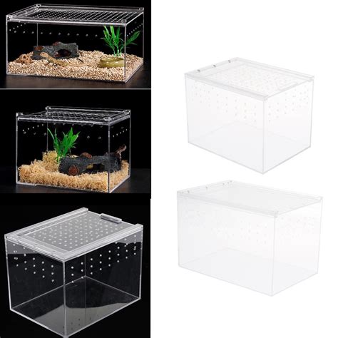 Buy Clear Acrylic Terrarium Box Reptile Amphibian Lizard Turtle Breeding Box S At Affordable