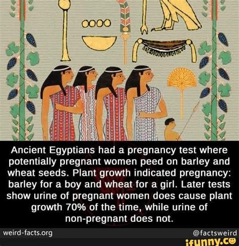 Ancient Egyptians Had A Pregnancy Test Where Potentially Pregnant Women