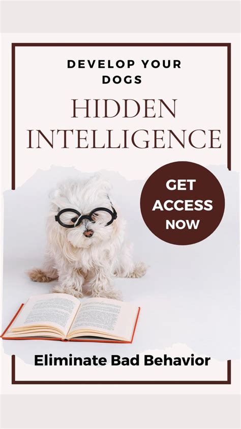 Develops Your Dogs Hidden Intelligence And Eliminate Bad Behavior