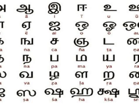 Indian Vs Sri Lankan Dialects Tamil Version All The Differences