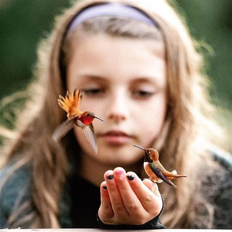 Humming Bird Child Photography Fairy Tale Photoshoot Instagram