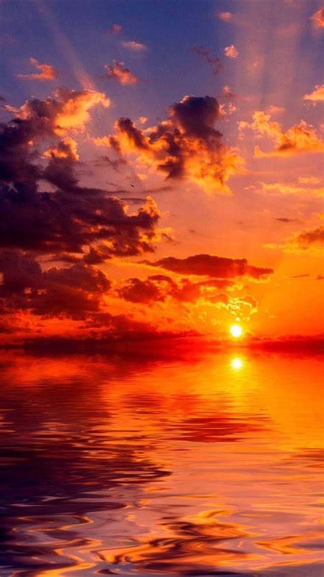 Sea Sunset Horizon Iphone Wallpapers Hd Sunset Iphone Wallpaper