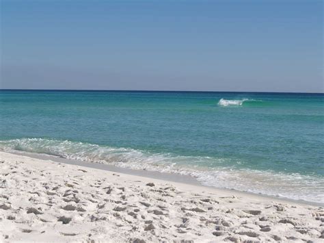 Beach sand is generally too heavy and dense for succulents. Can You Use Beach Sand In A Saltwater Aquarium? - The ...