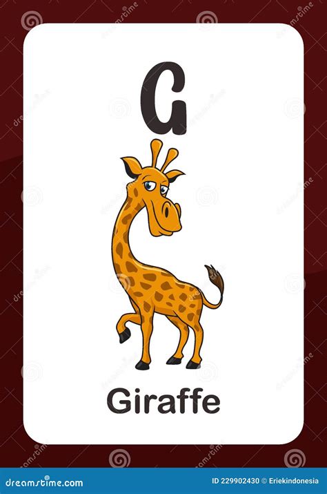 Animal Alphabet Flashcard G For Giraffe Stock Vector Illustration