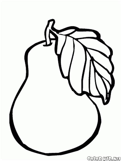 All liz on call freebies are fro personal use only. Coloring page - Fruits