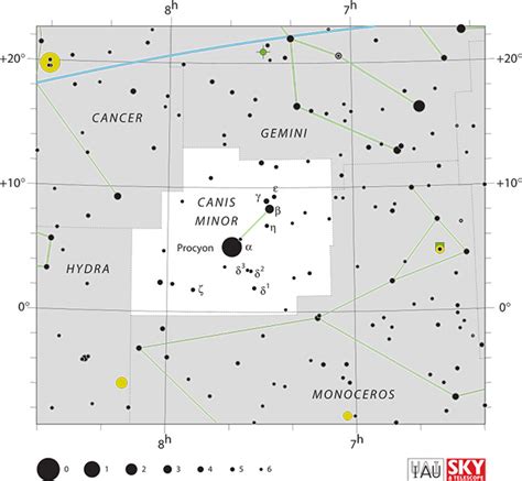 Canis Minor Constellation Facts Online Star Register
