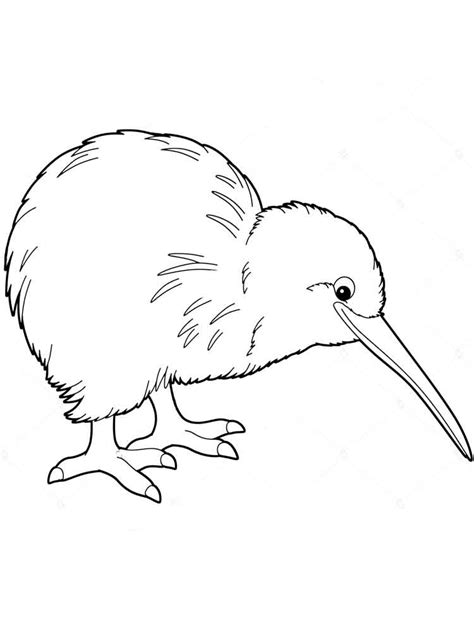 You can print or color them online at getdrawings.com for absolutely free. Kiwi coloring pages. Download and print Kiwi coloring pages