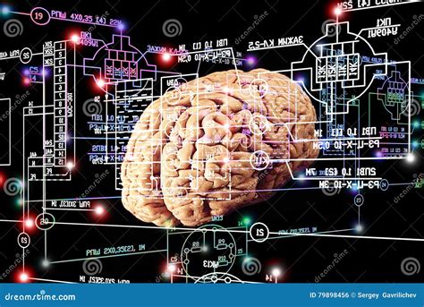 Engineering Brain Stock Photo Image Of Brain Communication 79898456