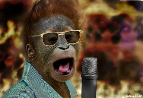Find the perfect singing stock photos and editorial news pictures from getty images. Underdog Orangutan Singer Wins Animals Have Talent 2 ...