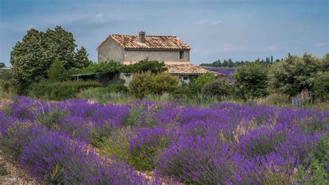 Provence II Foto & Bild | europe, france, provence-alpes-côte d'azur