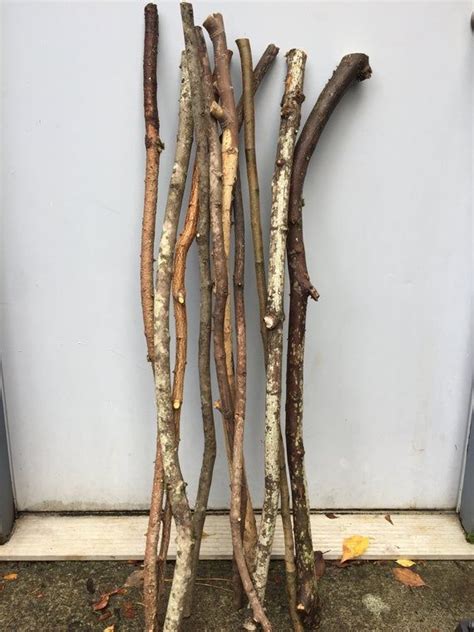 10 Super Long 34 To 36 Natural Wood Branches Sticks Twigs For Arts