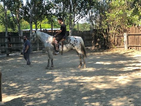 Il paese offre molte attività per il tempo libero, si trova a pochi minuti a piedi dallo speikboden ed è un vero paradiso per gli avventurieri! Cowboyland (Voghera) - 2021 All You Need to Know BEFORE ...