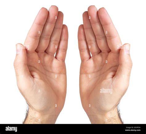 Two Cupped Hands Hi Res Stock Photography And Images Alamy