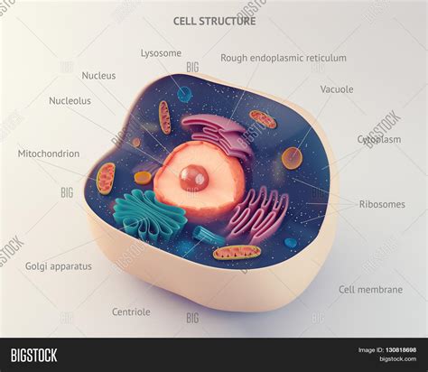 Check spelling or type a new query. Imagen y foto 3d Illustration (prueba gratis) | Bigstock