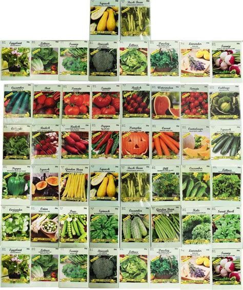 50 Packs Assorted Heirloom Vegetable Seeds 20 Varieties All Seeds Are
