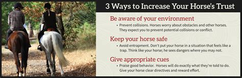Gaining Your Horses Trust — And 3 Ways You Could Lose It