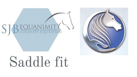 The Importance Of Fitting A Saddle After Osteopathic Treatment Youtube