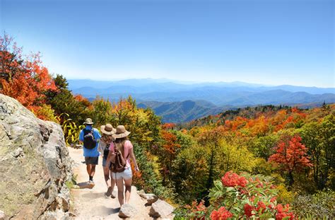 Maybe you would like to learn more about one of these? The Best Hikes in Asheville for Every Fitness Level - Land ...