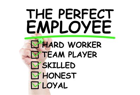 employee hiring checklist key qualities to look for in new employees donklephant