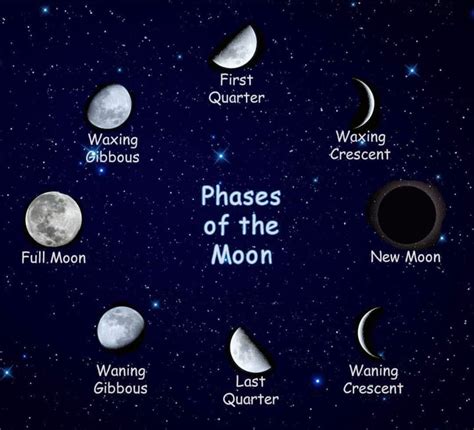 8 Main Phases Of The Moon Phases Of The Moon This Moon Phases