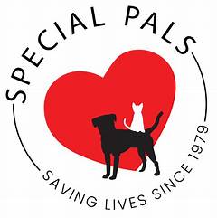 The Ultimate Pet Match Adopt A Free Companion In San Antonio