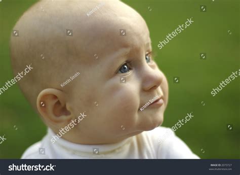 Baby Profile Stock Photo 2073727 Shutterstock