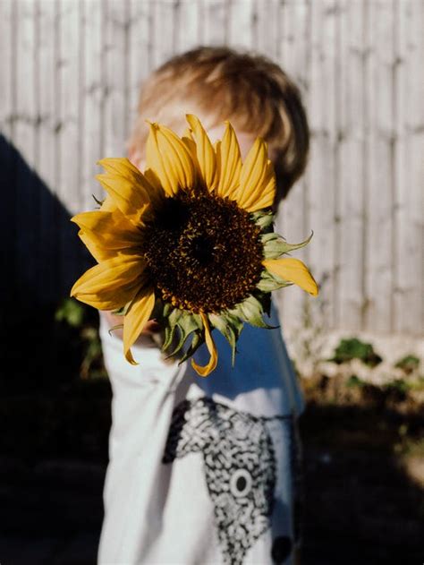 Woman In White And Black Floral Dress Holding Sunflower · Free Stock Photo