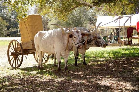 Washington On The Brazos State Historic Site Events Tour Texas