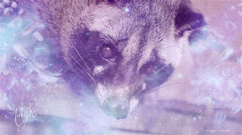 Check spelling or type a new query. Palm Civet: Awaken your magick powers | Auntyflo.com
