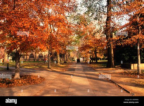 Princeton New Jersey Autumn Hi Res Stock Photography And Images Alamy