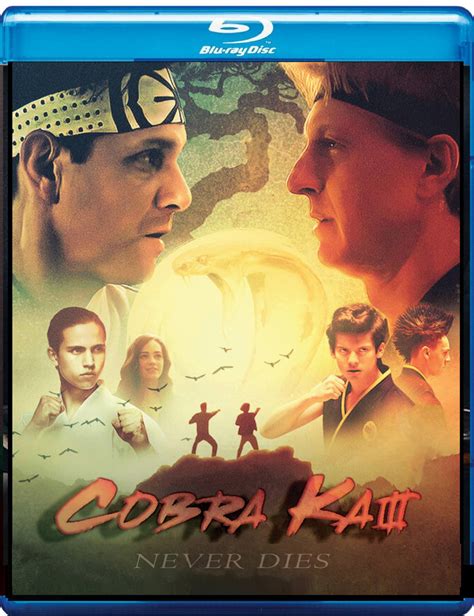 Cobra Kai Season 3 Blu Ray