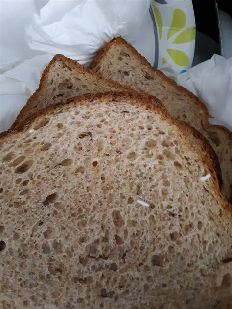 [solved] small hard white thing in whole wheat bread mold or grain ~ seasoned advice