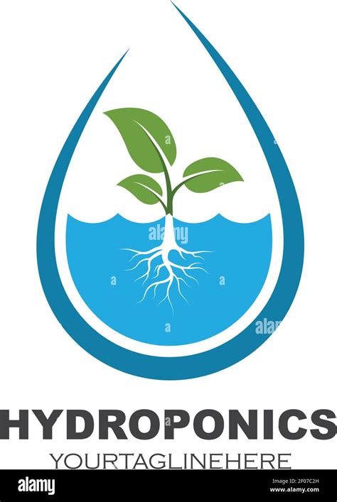 Hydroponics Logo Vector Illustration Design Template Stock Vector Image