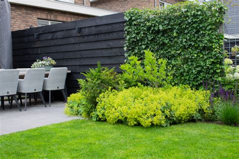 Groene Tuin Inspiratie Garden Edging Garden Fence Diy Garden Garden