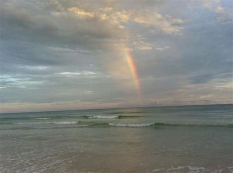 Book your perfect vacation rental in grayton beach, florida on flipkey today! master bedroom - Picture of Cabins at Grayton Beach State ...
