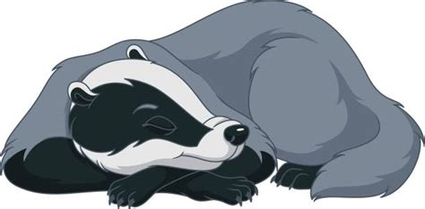 Badger Clip Art 20 Free Cliparts Download Images On Clipground 2023