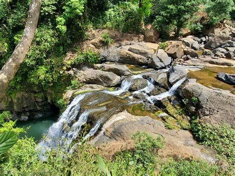 Nauyaca Waterfalls Horseback Riding Tours Dominical 2022 Qué