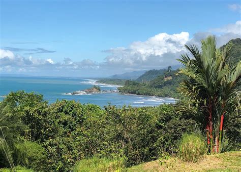 What To Do Know About Dominical Properties In Costa Rica Blog