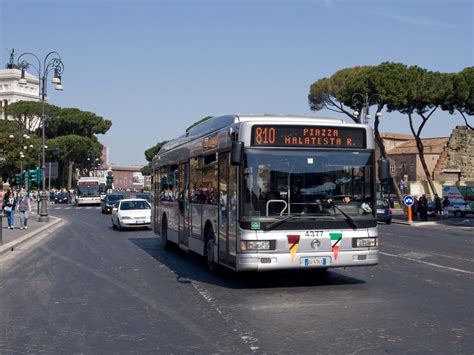 Bus En Roma Líneas Horarios Y Precios De Los Buses Conociendo🌎