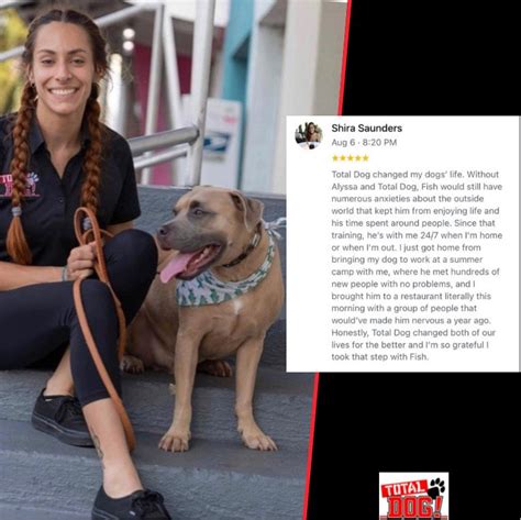 Success Stories Total Dog Tampa Training Services