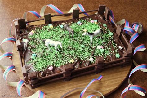 Heute gibt es einen sehr leckeren und cremigen käsekuchen mit mandarinen. Pferdemottoparty - Schokokuchen - Experimente aus meiner ...