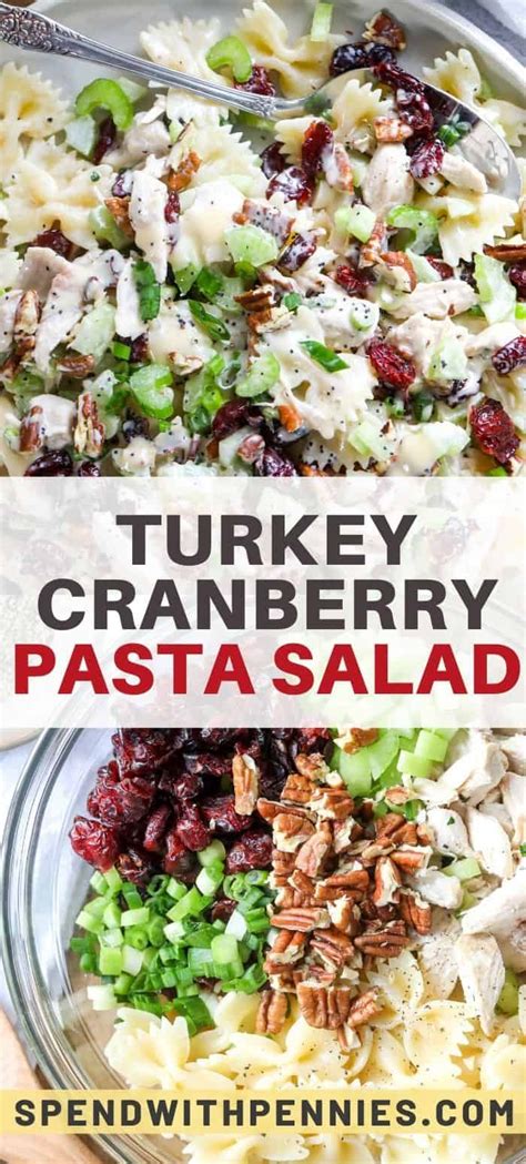 If you whip up a big batch of pasta ahead of time, you can assemble a pasta salad in minutes. Turkey Cranberry Pasta Salad is perfect for holiday ...