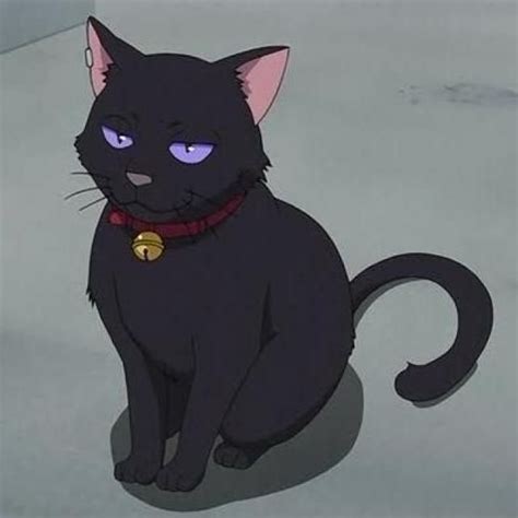 Pin By Cornelia Gray On Gatos Cute Anime Cat Cat Dark Anime Cat