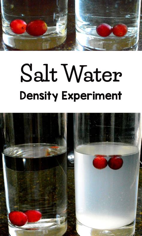 Water Density Experiment Do Grapes Sink Or Float Science
