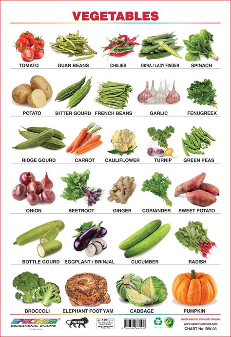 List Of Vegetables Useful Names Of Vegetables With The Picture In